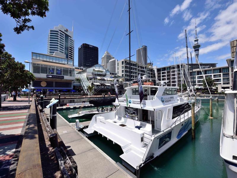 Furnished Apartment In Auckland Cbd Екстериор снимка